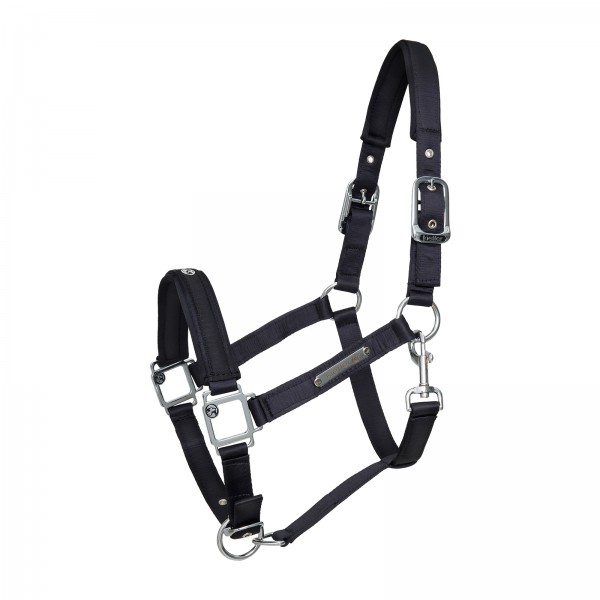 Kieffer Stable halter satin shine