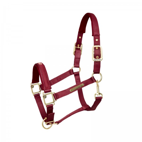 Kieffer Stable halter satin shine