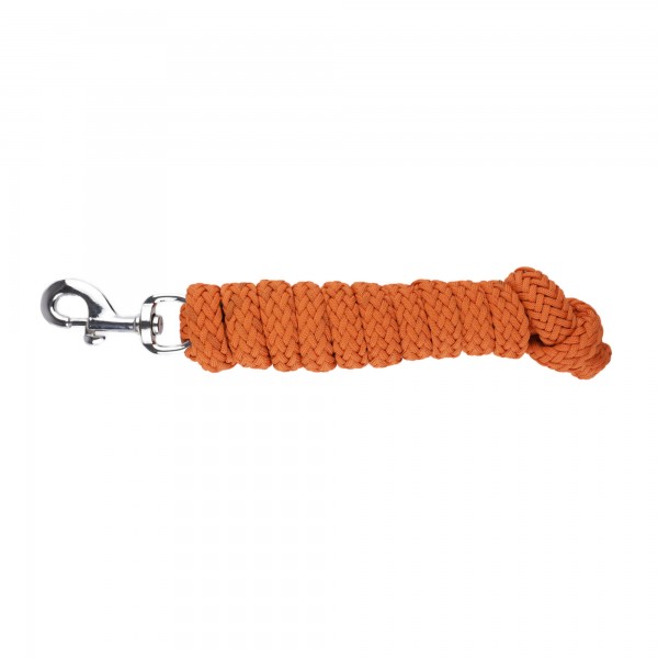 Lead rope, single-coloured, with carabiner