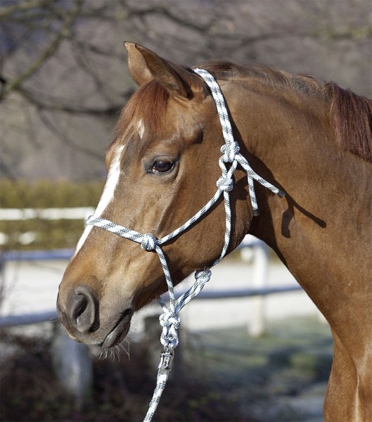 Knotted Rope Halter, cob/full