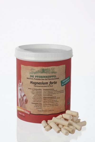 Magnesium Forte, 1 kg Tin