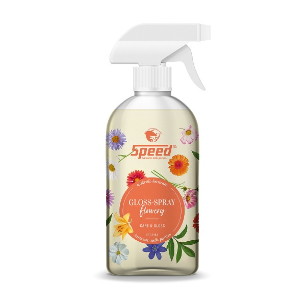 SPEED Gloss-Spray
